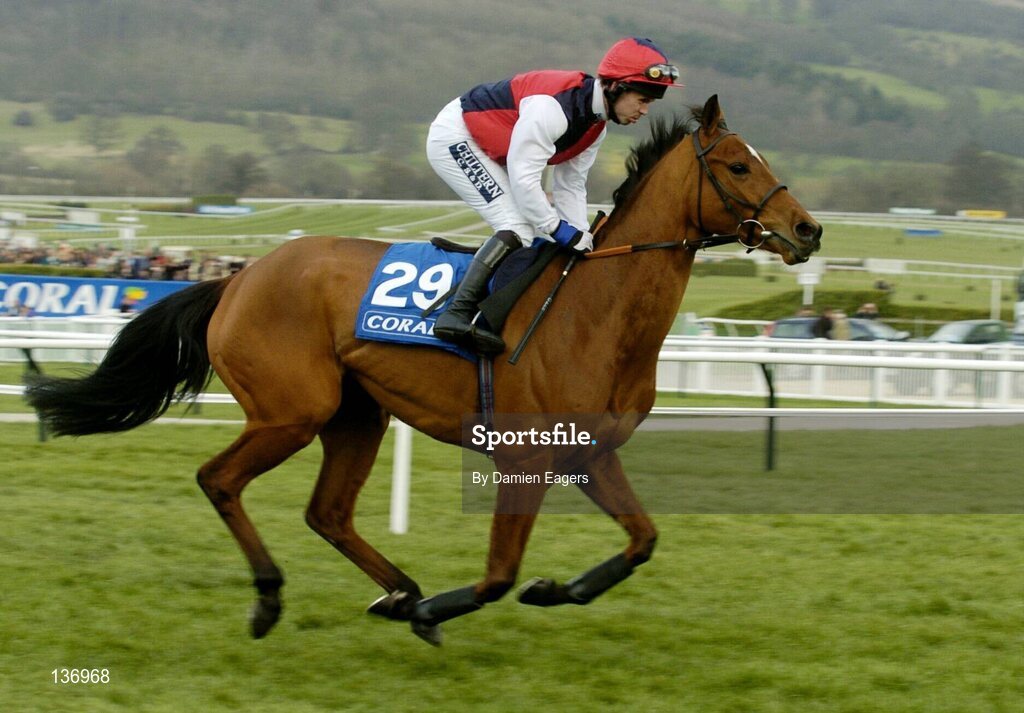 17 March 2004; Joshua's Bay, with Graham Lee up, canters to the start for the Coral Cup, Cheltenham Festival, Prestbury Park, Cheltenham, England. Horse Racing. Picture credit; Damien Eagers / SPORTSFILE *EDI*