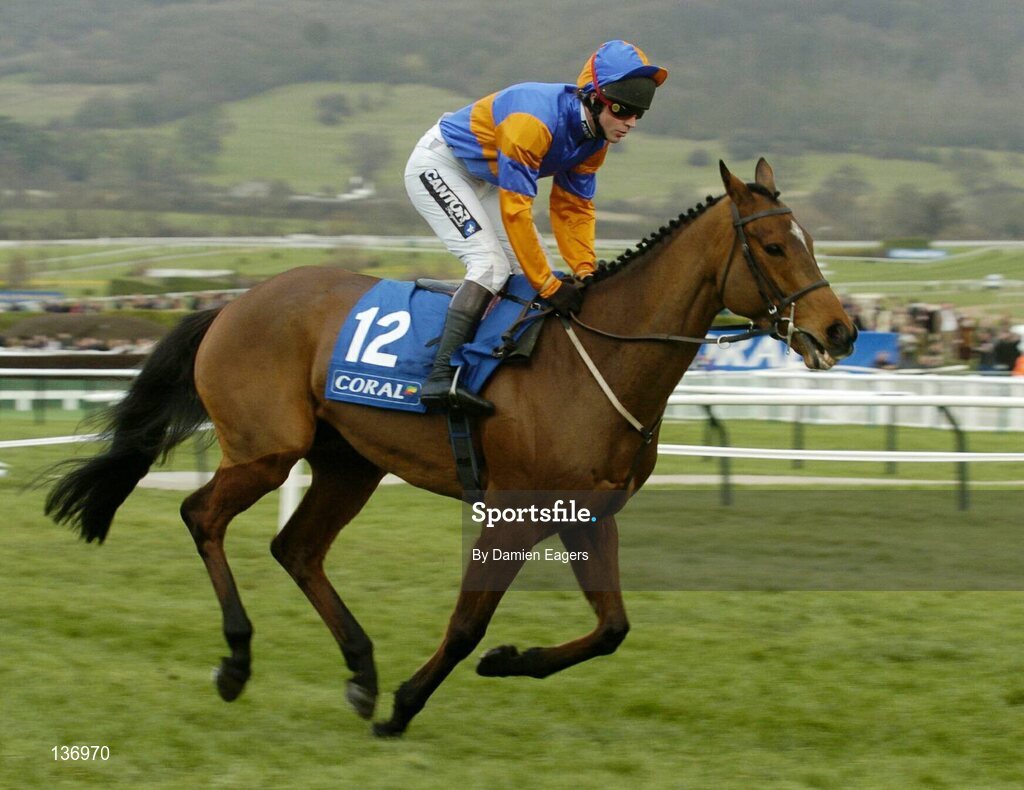 17 March 2004; Redemption, with Carl Llewellyn up, canters to the start for the Coral Cup, Cheltenham Festival, Prestbury Park, Cheltenham, England. Horse Racing. Picture credit; Damien Eagers / SPORTSFILE *EDI*
