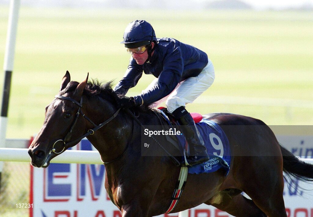 21 September 2003; Yeats, with Michael Kinane up, on the way to winning The Korean Racing Association EBF Maiden at The Curragh, Co. Kildare. Picture credit; SPORTSFILE