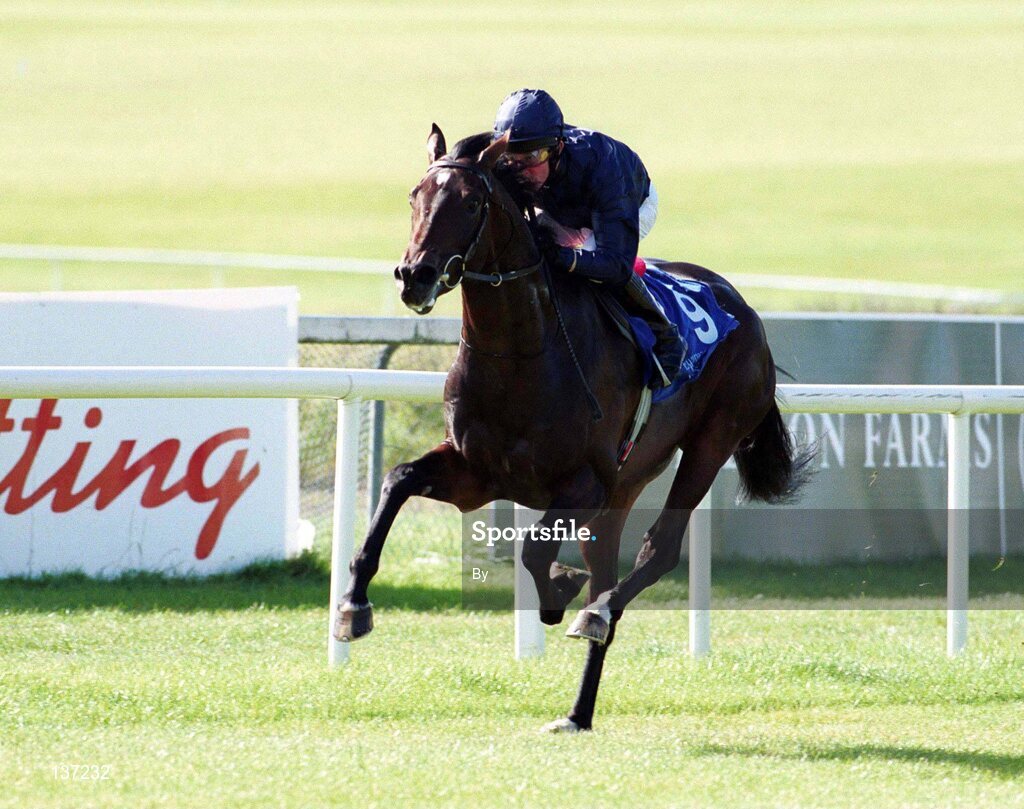 21 September 2003; Yeats, with Michael Kinane up, on the way to winning The Korean Racing Association EBF Maiden at The Curragh. Co. Kildare. Picture credit; SPORTSFILE