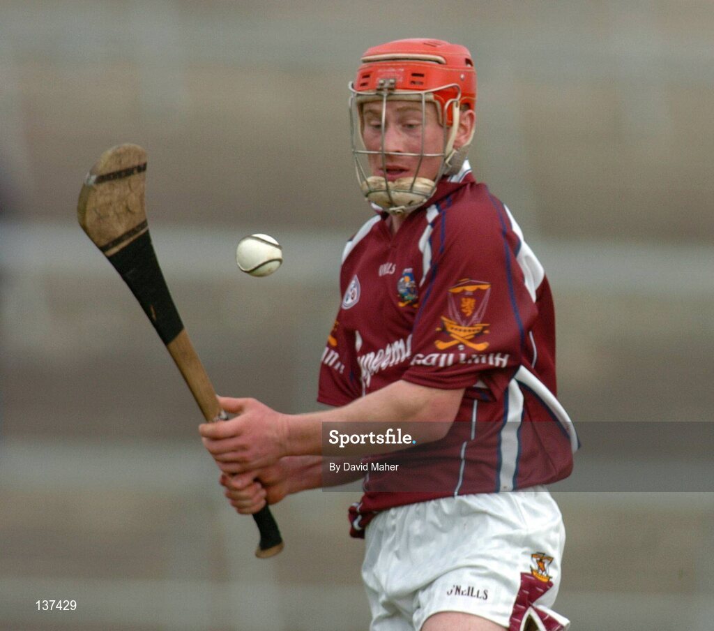 11 April 2004; David Hayes, Galway. Allianz Hurling League 2004, Division 1, Group 1, Galway v Cork, Pearse Stadium, Galway. Picture credit; David Maher / SPORTSFILE *EDI*