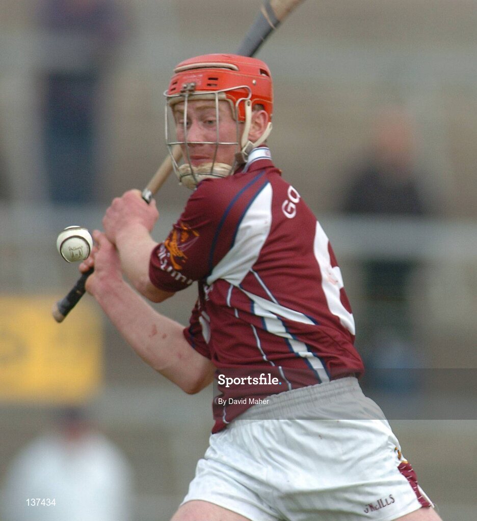 11 April 2004; David Hayes, Galway. Allianz Hurling League 2004, Division 1, Group 1, Galway v Cork, Pearse Stadium, Galway. Picture credit; David Maher / SPORTSFILE *EDI*