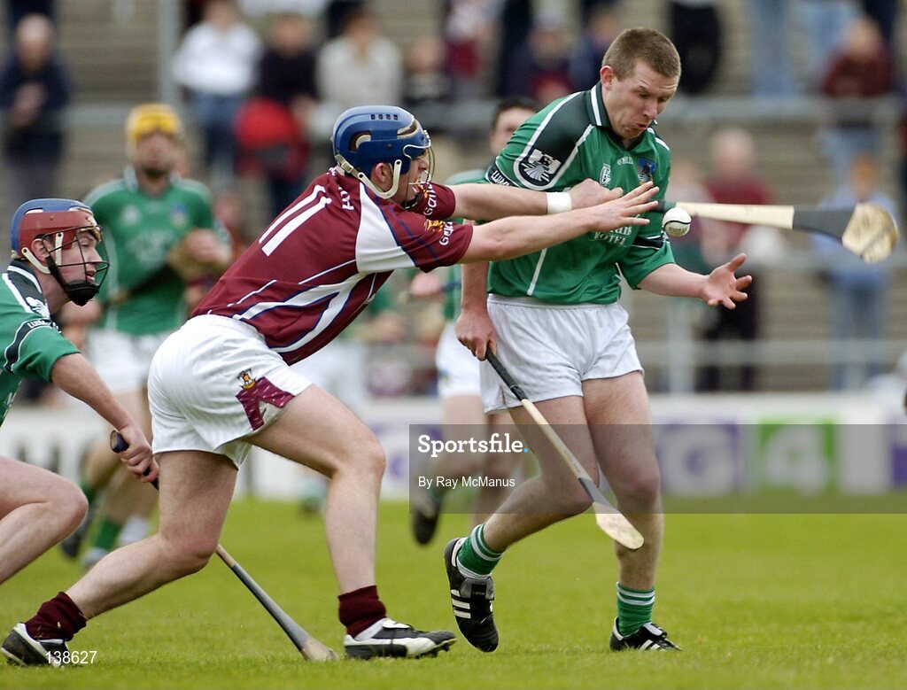 25 April 2004; Mark Foley, Limerick, in action against David Forde, Galway. Allianz Hurling League 2004, Round 3, Division 1, Galway v Limerick, Pearse Stadium, Galway. Picture credit; Ray McManus / SPORTSFILE *EDI*