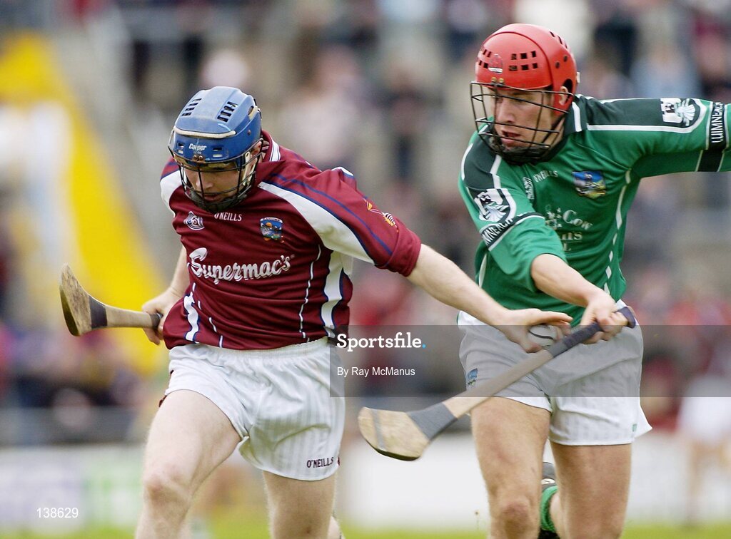 25 April 2004; Damien Hayes, Galway, in action against Brian Carroll, Limerick. Allianz Hurling League 2004, Round 3, Division 1, Galway v Limerick, Pearse Stadium, Galway. Picture credit; Ray McManus / SPORTSFILE *EDI*