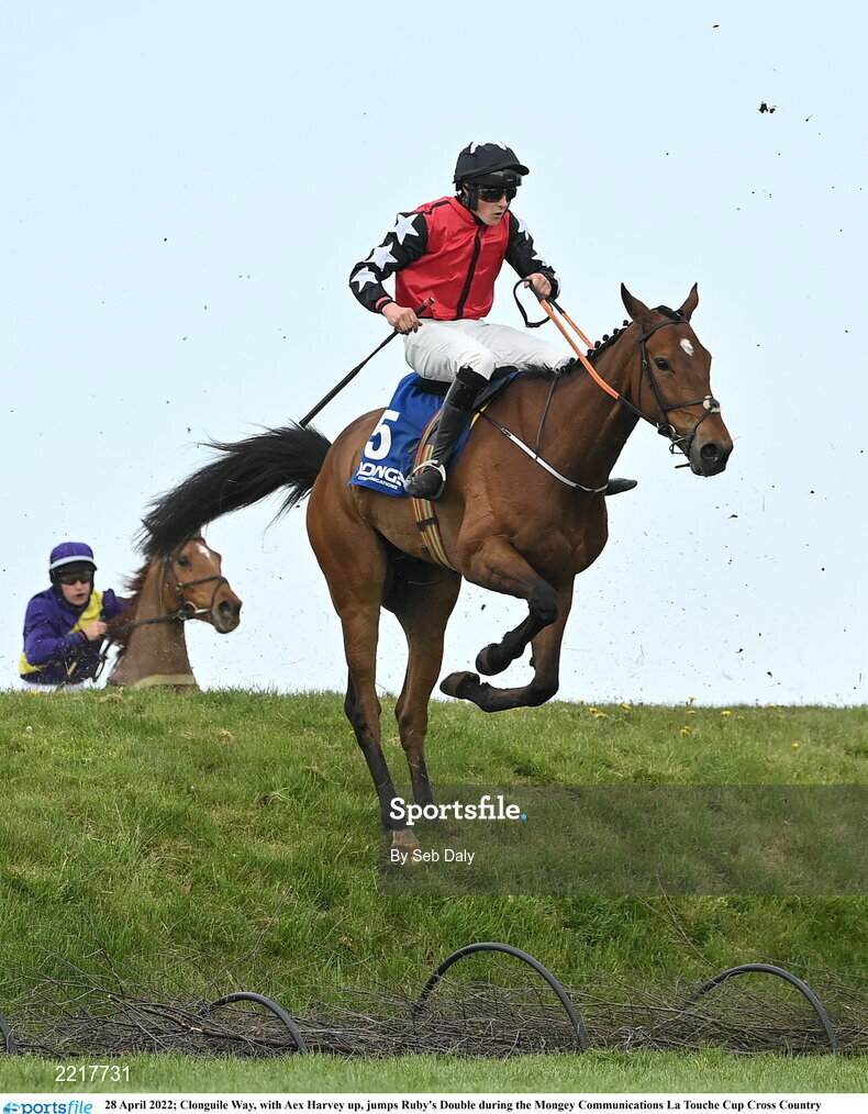 28 April 2022; Clonguile Way, with Aex Harvey up, jumps Ruby's Double during the Mongey Communications La Touche Cup Cross Country Steeplechase on day three of the Punchestown Festival at Punchestown Racecourse in Kildare. Photo by Seb Daly/Sportsfile