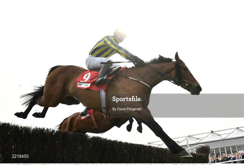 29 April 2022; Busselton, with JJ Slevin up, clears the last during the EMS Copiers Novice Handicap Steeplechase during day four of the Punchestown Festival at Punchestown Racecourse in Kildare. Photo by David Fitzgerald/Sportsfile