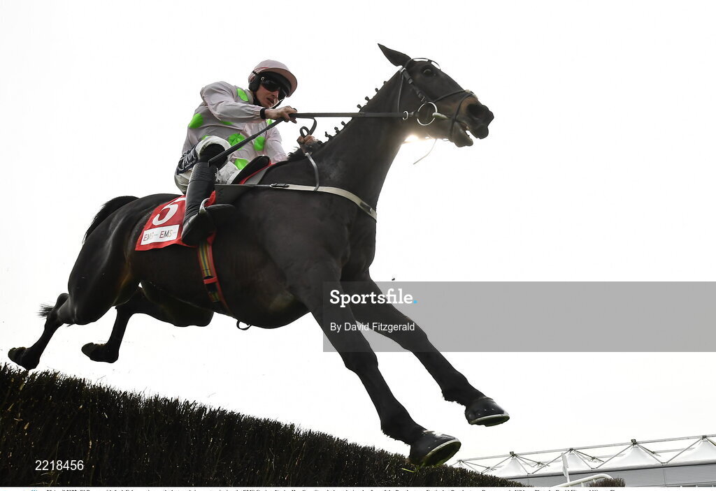 29 April 2022; El Barra, with Jack Foley up, jumps the last on their way to winning the EMS Copiers Novice Handicap Steeplechase during day four of the Punchestown Festival at Punchestown Racecourse in Kildare. Photo by David Fitzgerald/Sportsfile