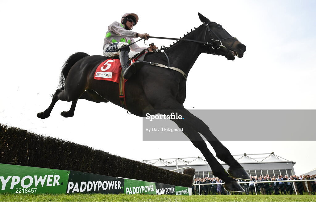 29 April 2022; El Barra, with Jack Foley up, jumps the last on their way to winning the EMS Copiers Novice Handicap Steeplechase during day four of the Punchestown Festival at Punchestown Racecourse in Kildare. Photo by David Fitzgerald/Sportsfile