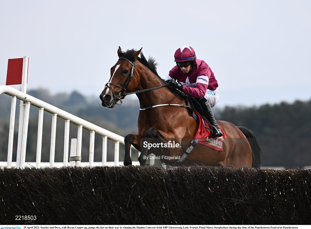 29 April 2022; Scarlet And Dove, with Bryan Cooper up, jumps the last on their way to winning the Hanlon Concrete Irish EBF Glencarraig Lady Francis Flood Mares Steeplechase during day four of the Punchestown Festival at Punchestown Racecourse in Kildare. Photo by David Fitzgerald/Sportsfile