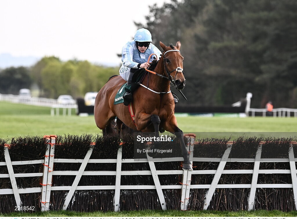 29 April 2022; Honeysuckle, with Rachael Blackmore up, jumps the last on their way to winning the Paddy Power Champion Hurdle during day four of the Punchestown Festival at Punchestown Racecourse in Kildare. Photo by David Fitzgerald/Sportsfile