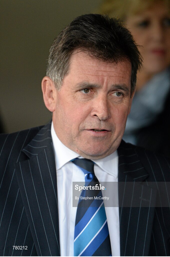 17 May 2013; Michael Dawson, Chief Executive, Leinster Rugby. Amlin Challenge Cup Final 2012/13, Leinster v Stade Francais, RDS, Ballsbridge, Dublin. Picture credit: Stephen McCarthy / SPORTSFILE Picture credit: Stephen McCarthy / SPORTSFILE