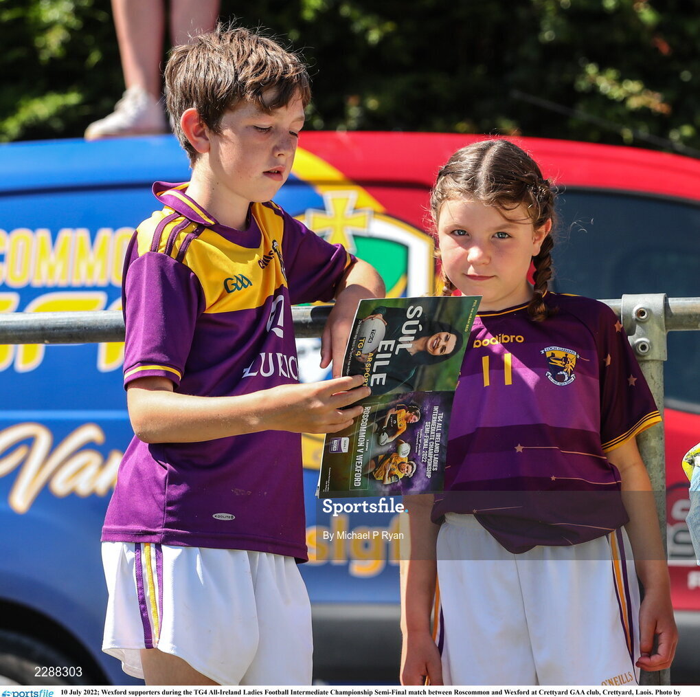 10 July 2022; Wexford supporters during the TG4 All-Ireland Ladies Football Intermediate Championship Semi-Final match between Roscommon and Wexford at Crettyard GAA club, Crettyard, Laois. Photo by Michael P Ryan/Sportsfile