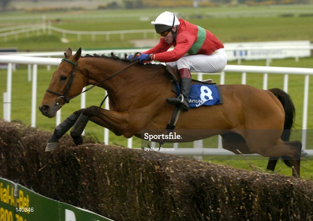 30 April 2004; Park Leader, with Robert Power up, jumps the last during the Mountbrook Homes Handicap Steeplechase, Punchestown Racecourse, Co. Kildare. Picture credit; Matt Browne / SPORTSFILE