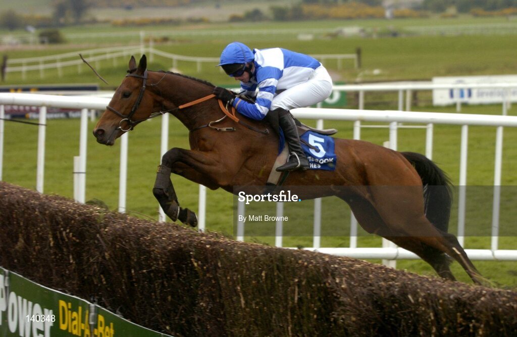 30 April 2004; Jasmin D'Oudairies, with Ruby Walsh up, jumps the last during the Mountbrook Homes Handicap Steeplechase, Punchestown Racecourse, Co. Kildare. Picture credit; Matt Browne / SPORTSFILE