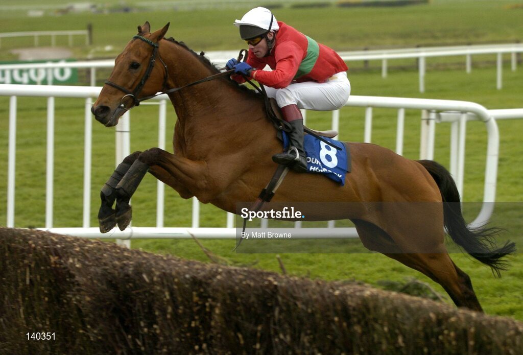 30 April 2004; Park Leader, with Robert Power up, jumps the last during the Mountbrook Homes Handicap Steeplechase, Punchestown Racecourse, Co. Kildare. Picture credit; Matt Browne / SPORTSFILE