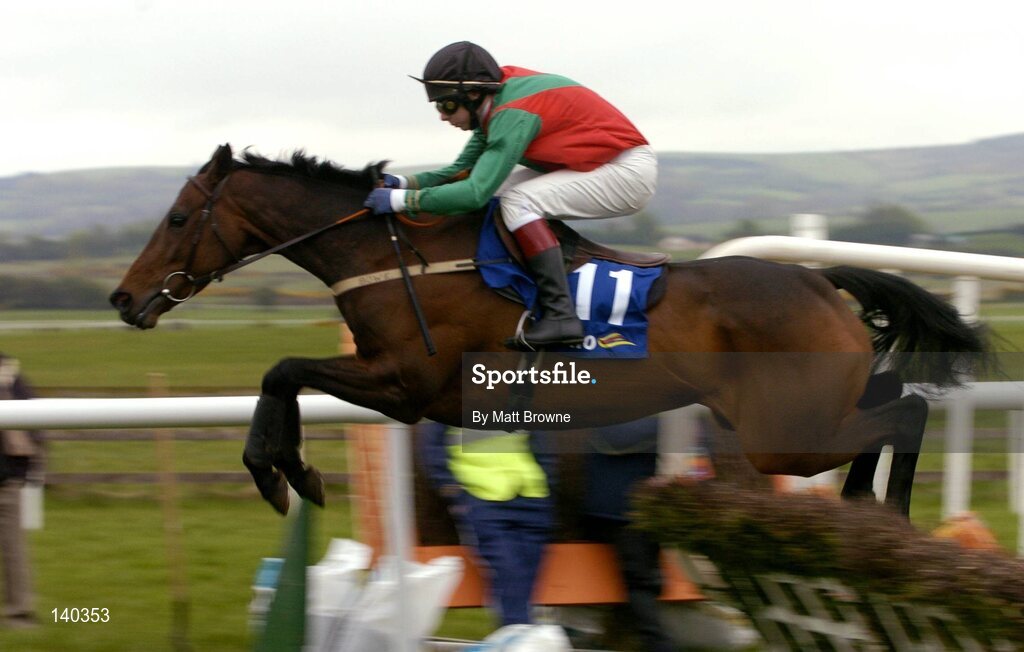 30 April 2004; Solerina, with Gary Hutchinson up, jumps the last during the Emo Oil Champion Hurdle, Punchestown Racecourse, Co. Kildare. Picture credit; Matt Browne / SPORTSFILE