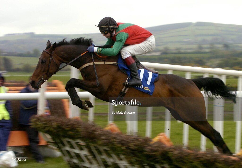 30 April 2004; Solerina, with Gary Hutchinson up, jumps the last during the Emo Oil Champion Hurdle, Punchestown Racecourse, Co. Kildare. Picture credit; Matt Browne / SPORTSFILE
