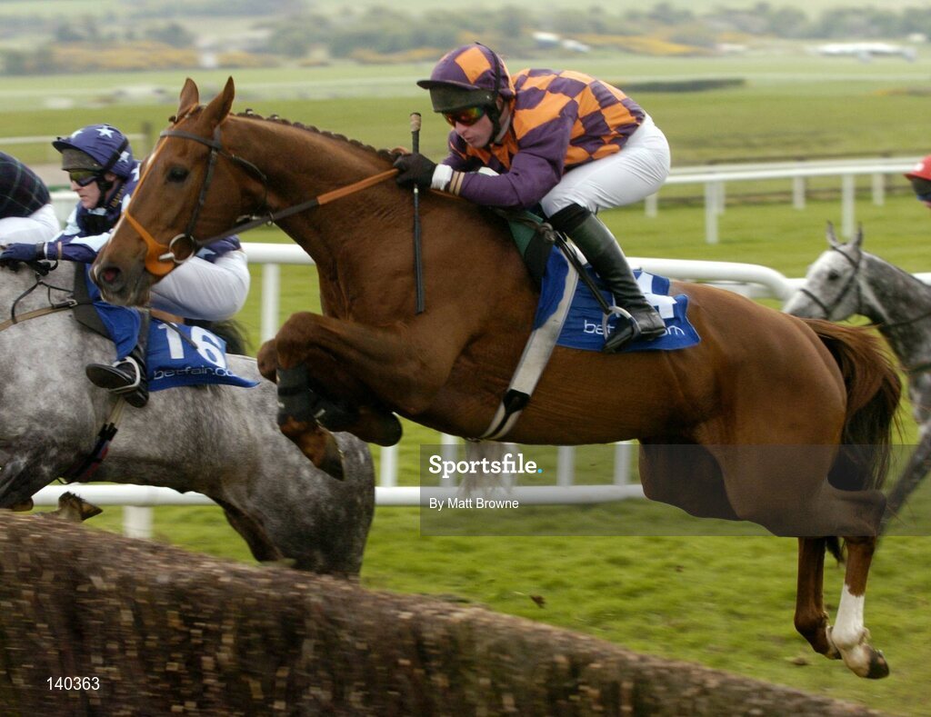 30 April 2004; Ride The Storm, with Mark Grant up, jumps the last during the Sharp Minds Betfair Novice Handicap Chase, Punchestown Racecourse, Co. Kildare. Picture credit; Matt Browne / SPORTSFILE