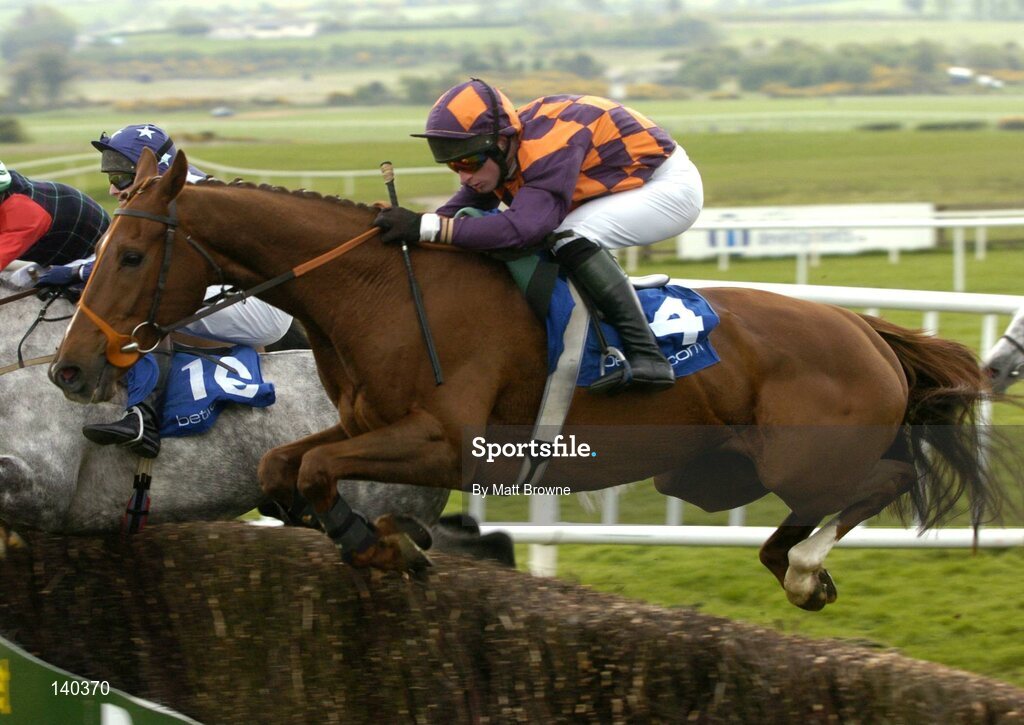 30 April 2004; Ride The Storm, with Mark Grant up, jumps the last during the Sharp Minds Betfair Novice Handicap Chase, Punchestown Racecourse, Co. Kildare. Picture credit; Matt Browne / SPORTSFILE