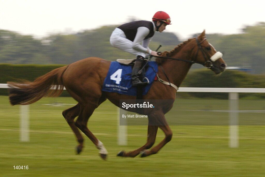 9 May 2004; Relaxed Gesture, with Pat Smullen up, canters to the start of the Derrinstown Stud Derby Trial Stakes. Leopardstown Racecourse, Dublin. Picture credit; Matt Browne / SPORTSFILE