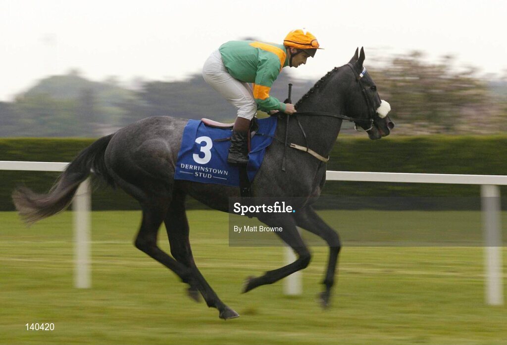 9 May 2004; Medicinal, with Pat Shanahan up, canters to the start for the Derrinstown Stud Derby Trial Stakes. Leopardstown Racecourse, Dublin. Picture credit; Matt Browne / SPORTSFILE