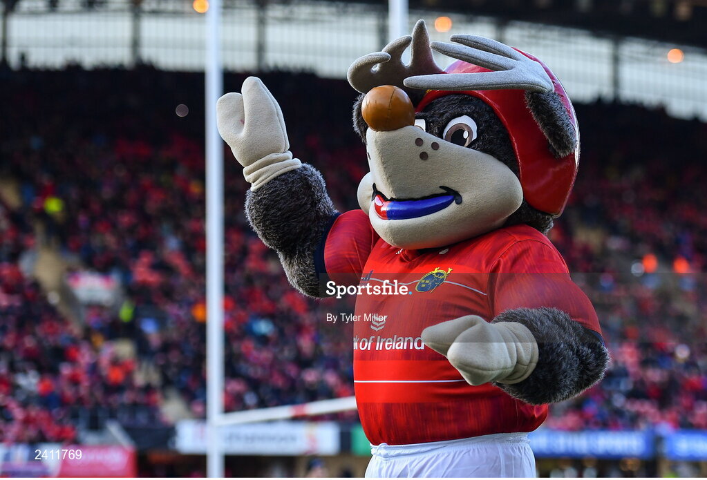 14 January 2023; The Munster mascot Oscar during the Heineken Champions Cup Pool B Round 3 match between Munster and Northampton Saints at Thomond Park in Limerick. Photo by Tyler Miller/Sportsfile