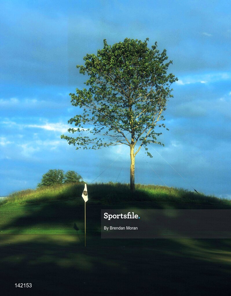 2003; The 7th Green on the New South Course at the K Club, Straffan, Co. Kildare, Ireland. Picture credit; Brendan Moran / SPORTSFILE