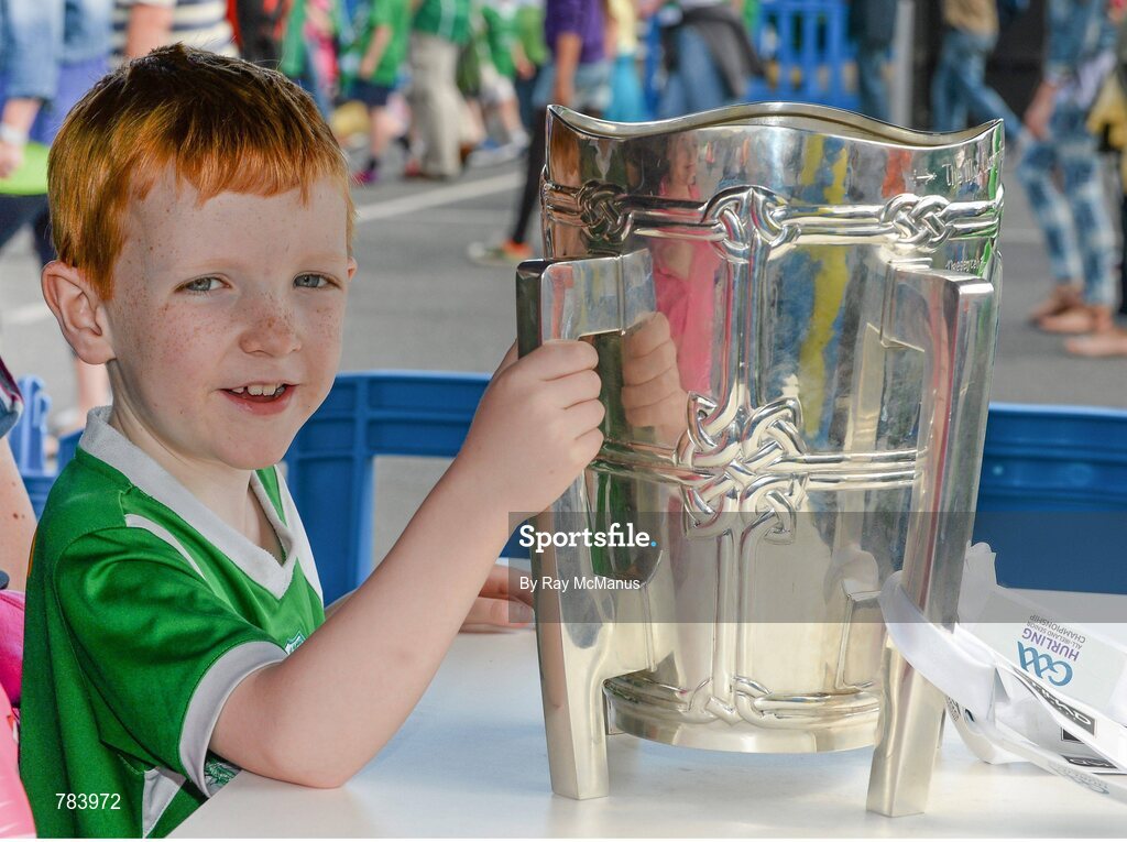 18 August 2013; Limerick supporter Cormac Quigg, 6 years, from Slaughtneil, Co. Derry, with the Liam MacCarthy Cup in the GAA Fun Zone on his way to the game.  GAA Hurling All-Ireland Senior Championship, Semi-Final, Limerick v Clare, Croke Park, Dublin. Picture credit: Ray McManus / SPORTSFILE