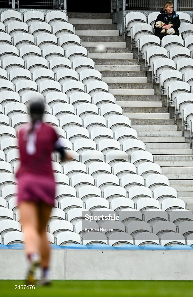 26 March 2023; Tressa Looney, mother of Cork player Hannah Looney and her dog Libby watch from the stands during the Very Camogie League Division 1A match between Kilkenny and Galway at Páirc Ui Chaoimh in Cork. Photo by Eóin Noonan/Sportsfile