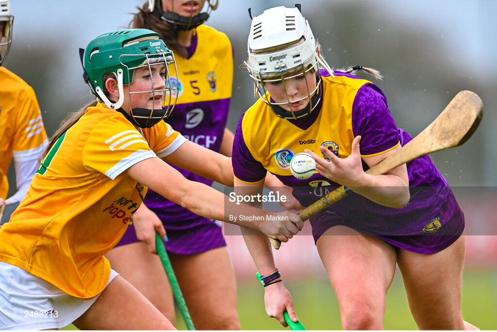 Stephen Buttle Sportsfile - Image Details - Sports Photography Agency Ireland