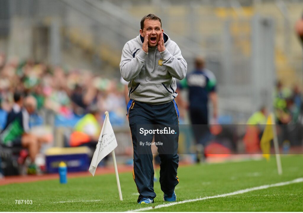 18 August 2013; Clare manager Davy Fitzgerald. GAA Hurling All-Ireland Senior Championship, Semi-Final, Limerick v Clare, Croke Park, Dublin. Photo by Sportsfile