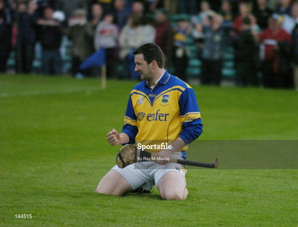 26 June 2004; Tipperary goalkeeper Brendan Cummins celebrates victory. Guinness Senior Hurling Championship Qualifier, Round 1, Limerick v Tipperary, Gaelic Grounds, Limerick. Picture credit; Ray McManus / SPORTSFILE