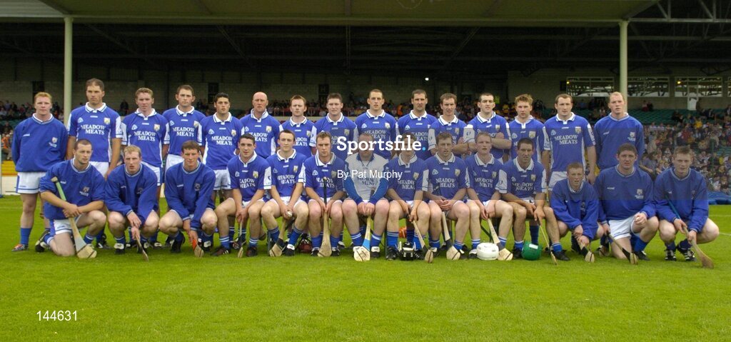 26 June 2004; The Laois squad. Guinness Senior Hurling Championship Qualifier, Round 1, Clare v Laois, Gaelic Grounds, Limerick. Picture credit; Pat Murphy / SPORTSFILE