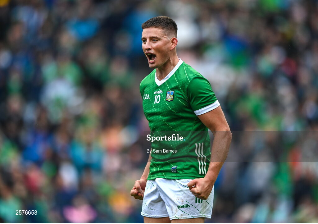 23 July 2023; Gearóid Hegarty of Limerick celebrates after the final whistle at the GAA Hurling All-Ireland Senior Championship final match between Kilkenny and Limerick at Croke Park in Dublin. Photo by Sam Barnes/Sportsfile