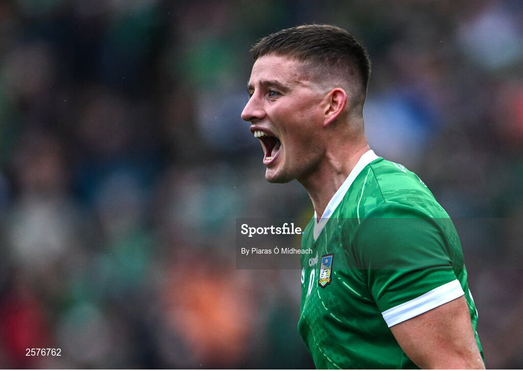 23 July 2023; Gearóid Hegarty of Limerick celebrates after his side's victory in the GAA Hurling All-Ireland Senior Championship final match between Kilkenny and Limerick at Croke Park in Dublin. Photo by Piaras Ó Mídheach/Sportsfile
