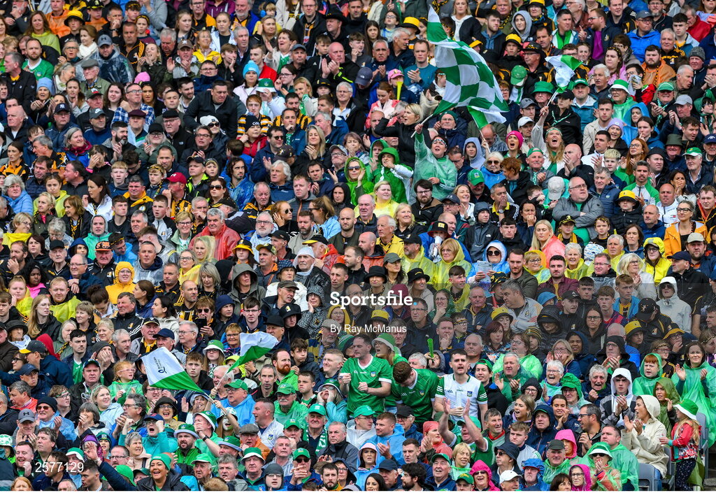 23 July 2023; Limerick supporters, in the Hogan Stand, celebrate a score during the GAA Hurling All-Ireland Senior Championship final match between Kilkenny and Limerick at Croke Park in Dublin. Photo by Ray McManus/Sportsfile