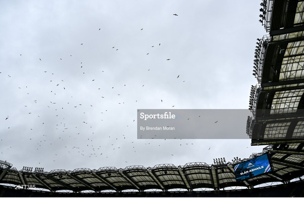 23 July 2023; Seagulls fly overhead  after the crowd left the stadium following the GAA Hurling All-Ireland Senior Championship final match between Kilkenny and Limerick at Croke Park in Dublin. Photo by Brendan Moran/Sportsfile