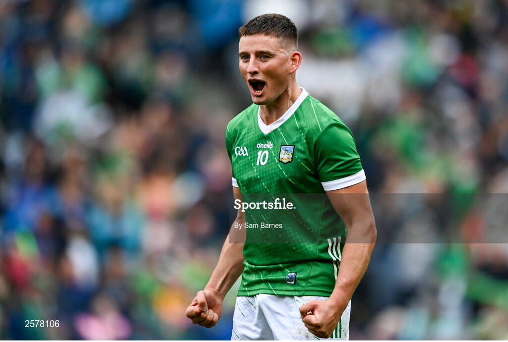 23 July 2023; Gearóid Hegarty of Limerick celebrates after his side's victory in the GAA Hurling All-Ireland Senior Championship final match between Kilkenny and Limerick at Croke Park in Dublin. Photo by Sam Barnes/Sportsfile