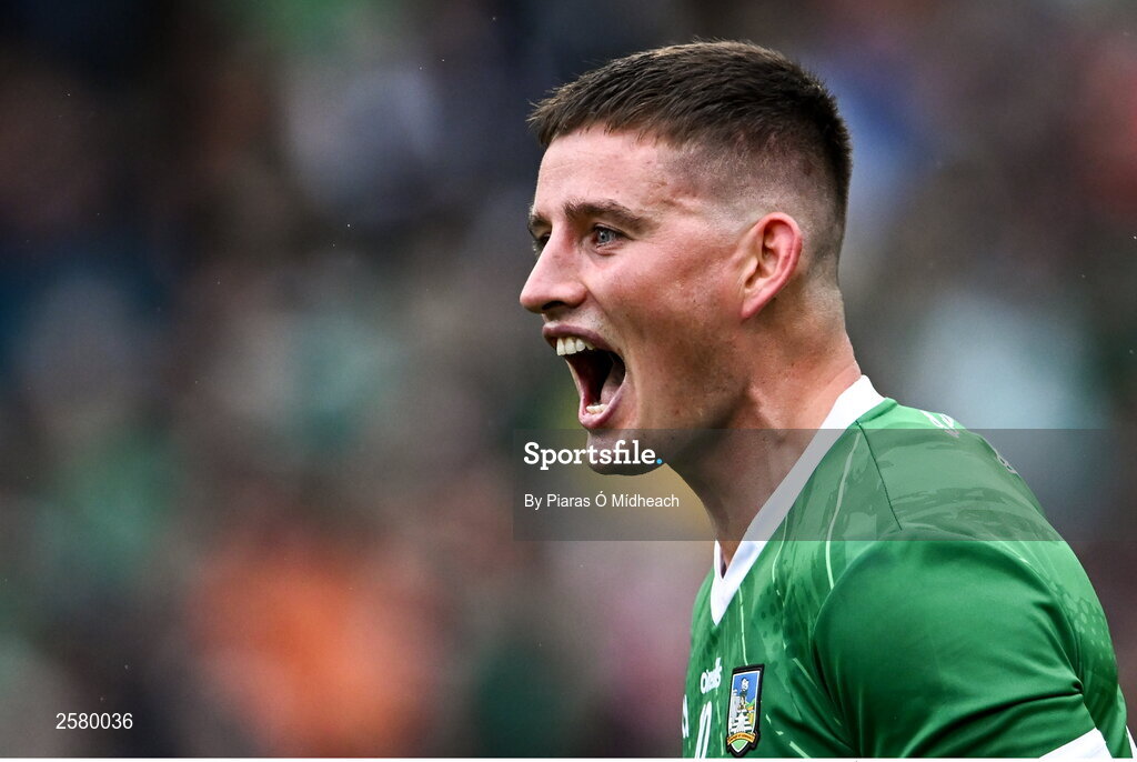 23 July 2023; Gearóid Hegarty of Limerick celebrates after his side's victory in the GAA Hurling All-Ireland Senior Championship final match between Kilkenny and Limerick at Croke Park in Dublin. Photo by Piaras Ó Mídheach/Sportsfile