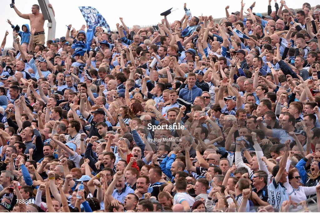 1 September 2013; Dublin supporters, on Hill 16, celebrate after Kevin McManamon had scored a late goal. GAA Football All-Ireland Senior Championship, Semi-Final, Dublin v Kerry, Croke Park, Dublin. Picture credit: Ray McManus / SPORTSFILE