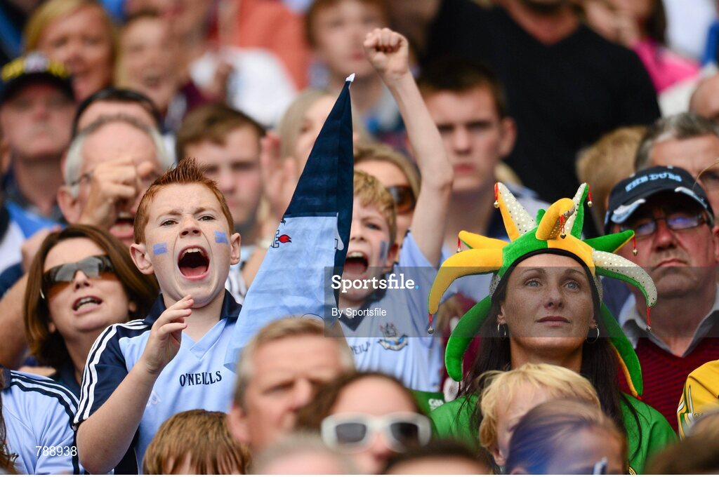 1 September 2013; Dublin supporters celebrate during the game. GAA Football All-Ireland Senior Championship, Semi-Final, Dublin v Kerry, Croke Park, Dublin. Photo by Sportsfile
