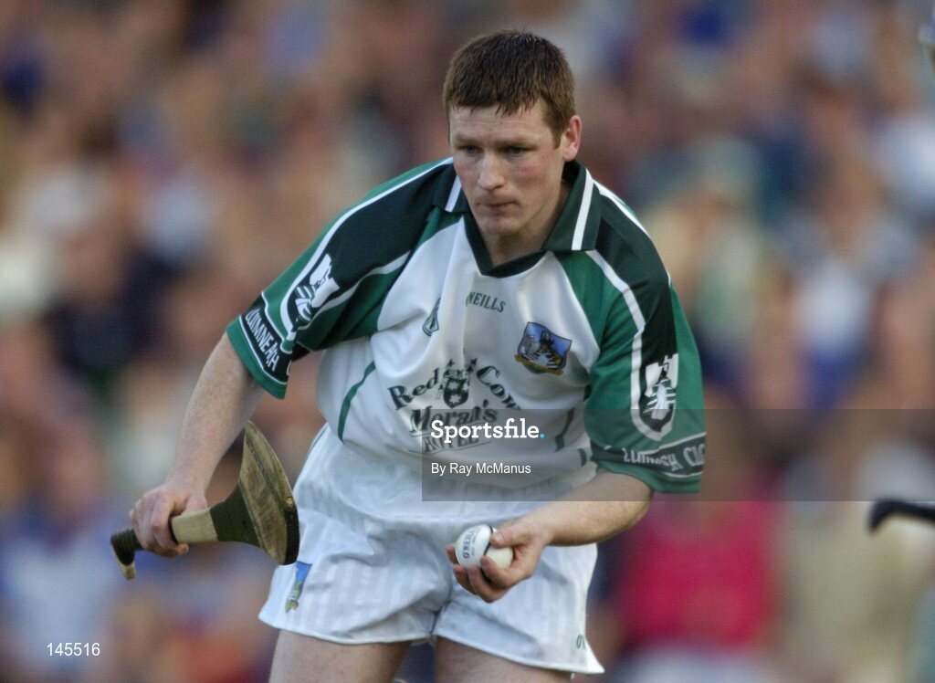 26 June 2004; John Cahill, Limerick goalkeeper. Guinness Senior Hurling Championship Qualifier, Round 1, Limerick v Tipperary, Gaelic Grounds, Limerick. Picture credit; Ray McManus / SPORTSFILE