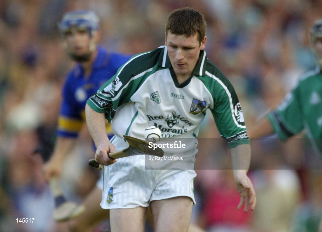 26 June 2004; John Cahill, Limerick goalkeeper. Guinness Senior Hurling Championship Qualifier, Round 1, Limerick v Tipperary, Gaelic Grounds, Limerick. Picture credit; Ray McManus / SPORTSFILE