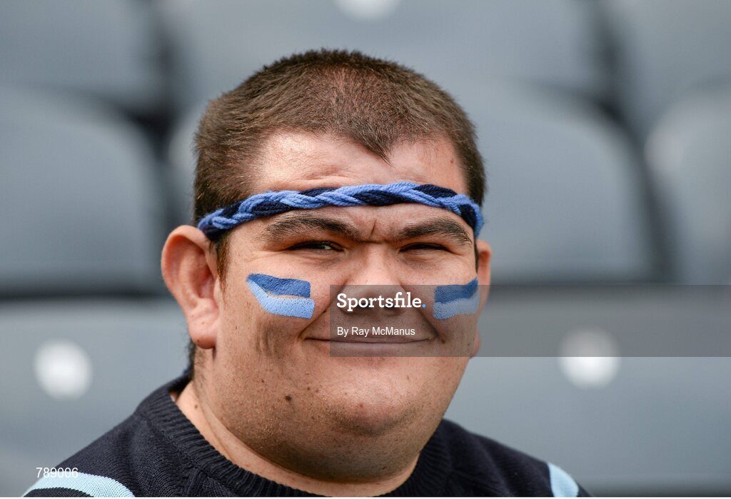 1 September 2013; Dublin supporter Kieran Shields in the Hogan Stand before the game. GAA Football All-Ireland Senior Championship, Semi-Final, Dublin v Kerry, Croke Park, Dublin. Picture credit: Ray McManus / SPORTSFILE