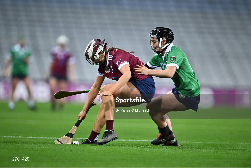 17 December 2023; Caoimhe Dowling of Dicksboro in action against Siobhán McGrath of Sarsfields during the AIB Camogie All-Ireland Senior Club Championship final match between Dicksboro of Kilkenny and Sarsfields of Galway at Croke Park in Dublin. Photo by Piaras Ó Mídheach/Sportsfile