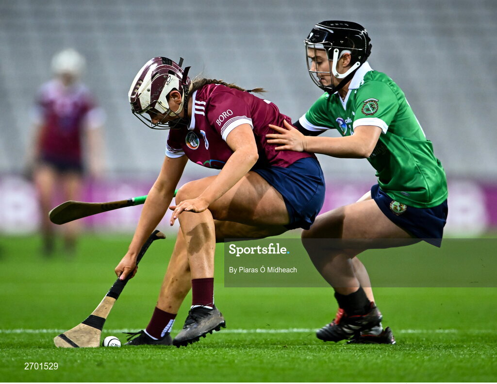 17 December 2023; Caoimhe Dowling of Dicksboro in action against Siobhán McGrath of Sarsfields during the AIB Camogie All-Ireland Senior Club Championship final match between Dicksboro of Kilkenny and Sarsfields of Galway at Croke Park in Dublin. Photo by Piaras Ó Mídheach/Sportsfile