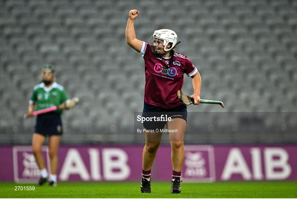 17 December 2023; Amy Clifford of Dicksboro celebrates a late score during the AIB Camogie All-Ireland Senior Club Championship final match between Dicksboro of Kilkenny and Sarsfields of Galway at Croke Park in Dublin. Photo by Piaras Ó Mídheach/Sportsfile