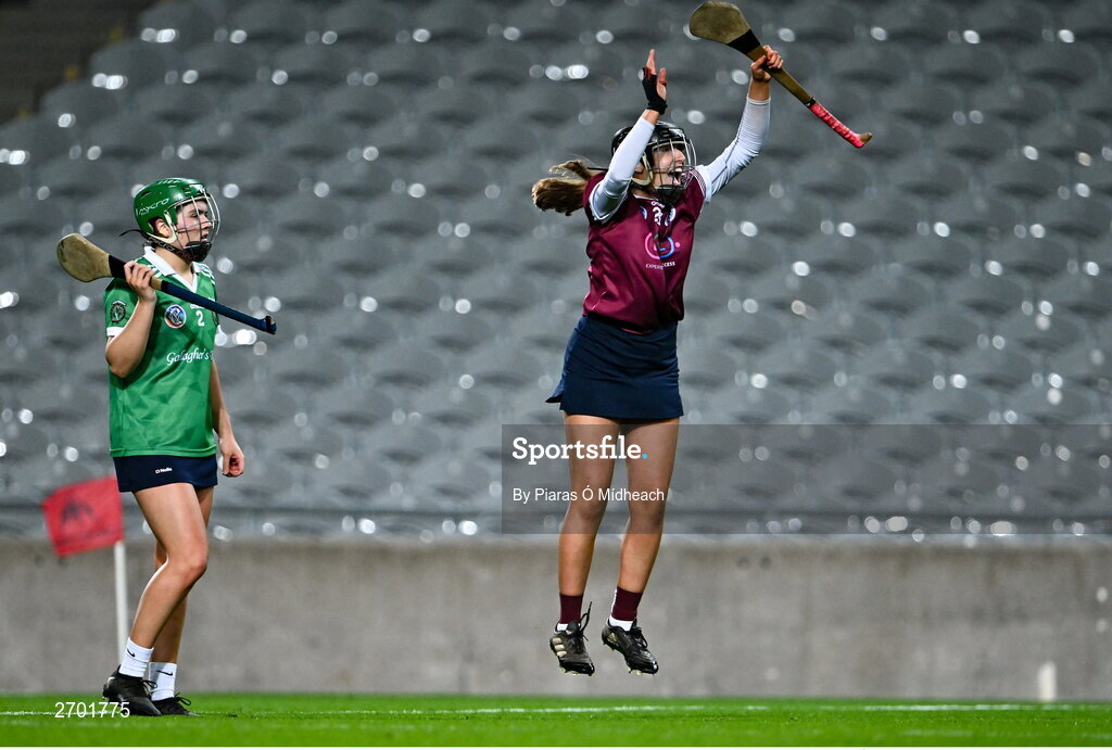17 December 2023; Rose Kelly of Dicksboro celebrates after her side's victory as Reitseal Kelly of Sarsfields looks on in the AIB Camogie All-Ireland Senior Club Championship final match between Dicksboro of Kilkenny and Sarsfields of Galway at Croke Park in Dublin. Photo by Piaras Ó Mídheach/Sportsfile