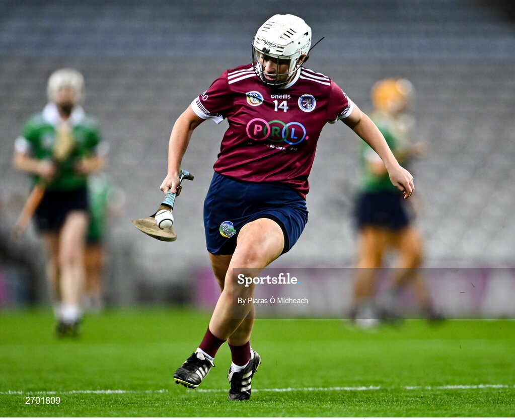 17 December 2023; Orla Hanrick of Dicksboro during the AIB Camogie All-Ireland Senior Club Championship final match between Dicksboro of Kilkenny and Sarsfields of Galway at Croke Park in Dublin. Photo by Piaras Ó Mídheach/Sportsfile