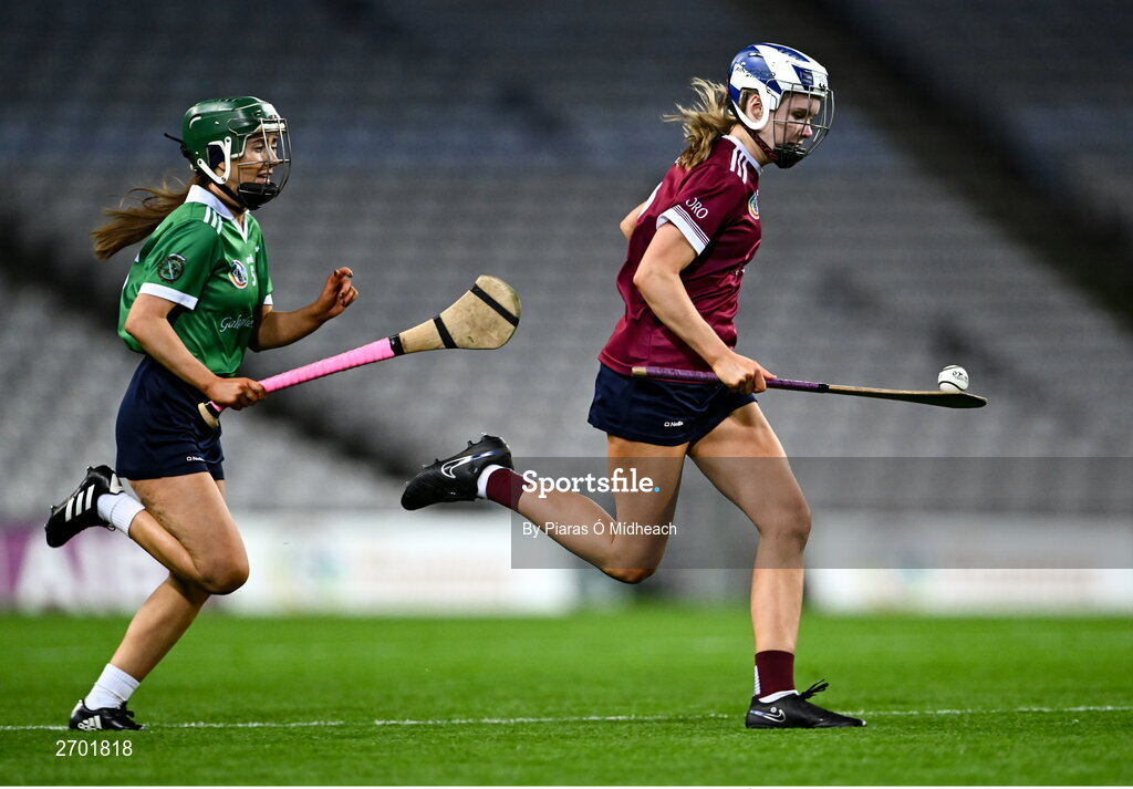 17 December 2023; Asha McHardy of Dicksboro in action against Tara Kenny of Sarsfields during the AIB Camogie All-Ireland Senior Club Championship final match between Dicksboro of Kilkenny and Sarsfields of Galway at Croke Park in Dublin. Photo by Piaras Ó Mídheach/Sportsfile